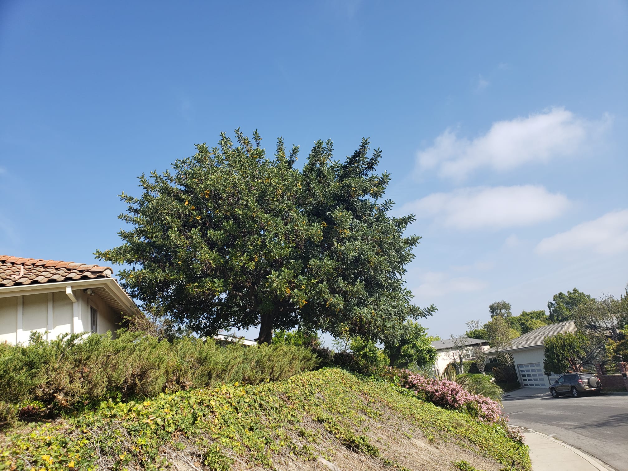 Eagle Landscaping Services Image